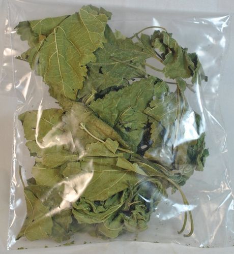 Maulbeerblätter Naturbelassen getrocknet 10 Stück
